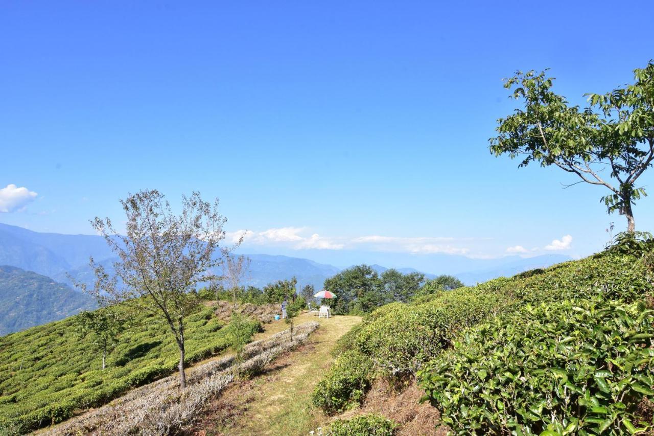 Singtom Tea Estate & Resort Darjeeling  Exterior photo
