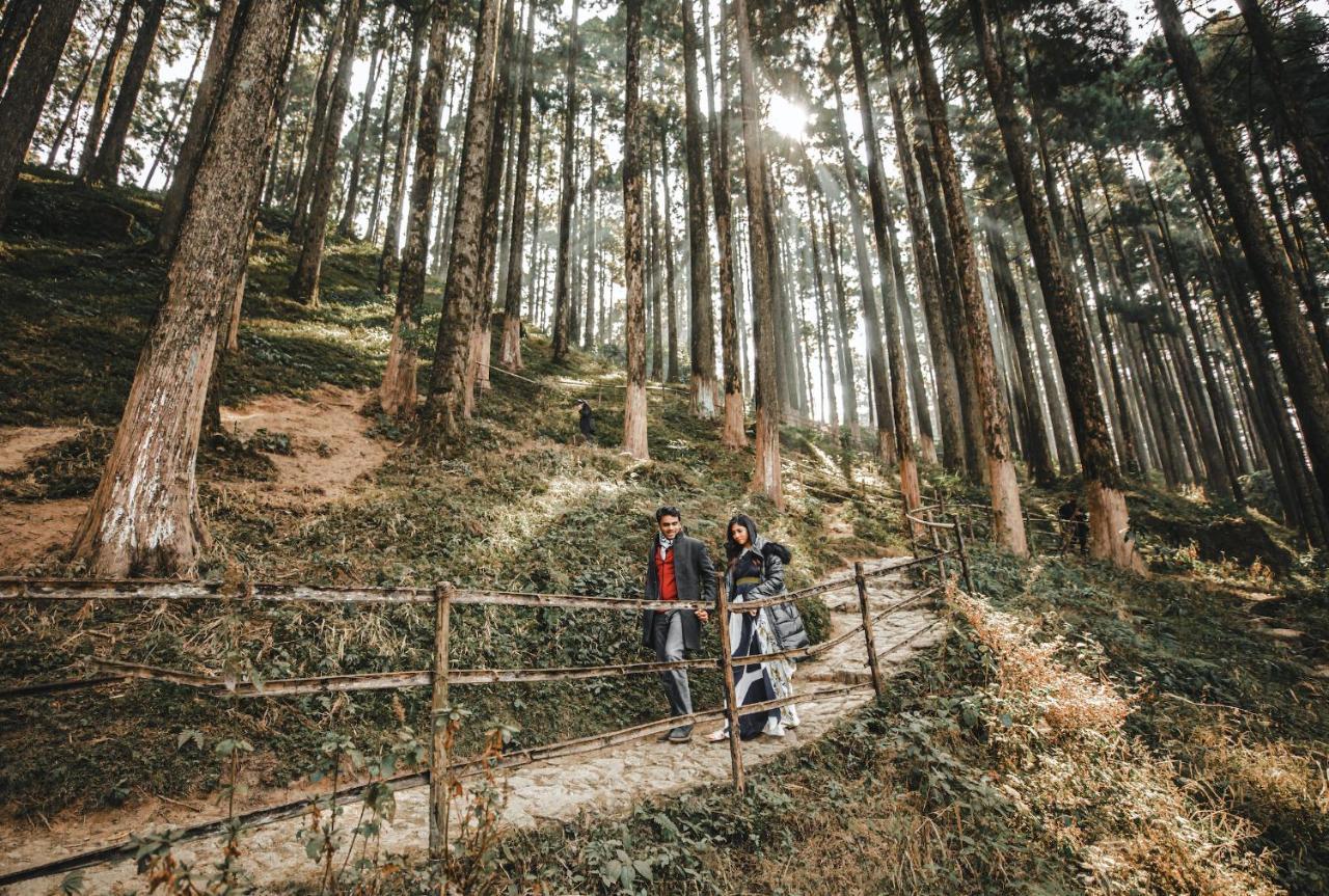 Singtom Tea Estate & Resort Darjeeling  Exterior photo